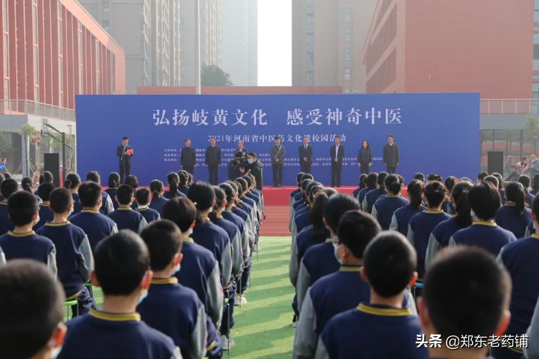 弘扬岐黄文化 感受中医药魅力