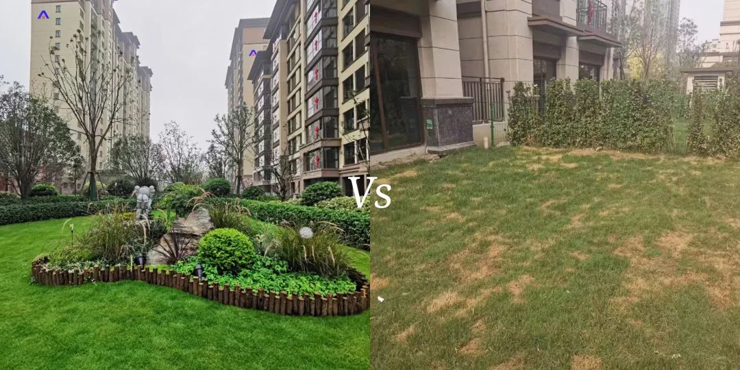 建业好房VS普通小区，同样是买房，品质真的不一样