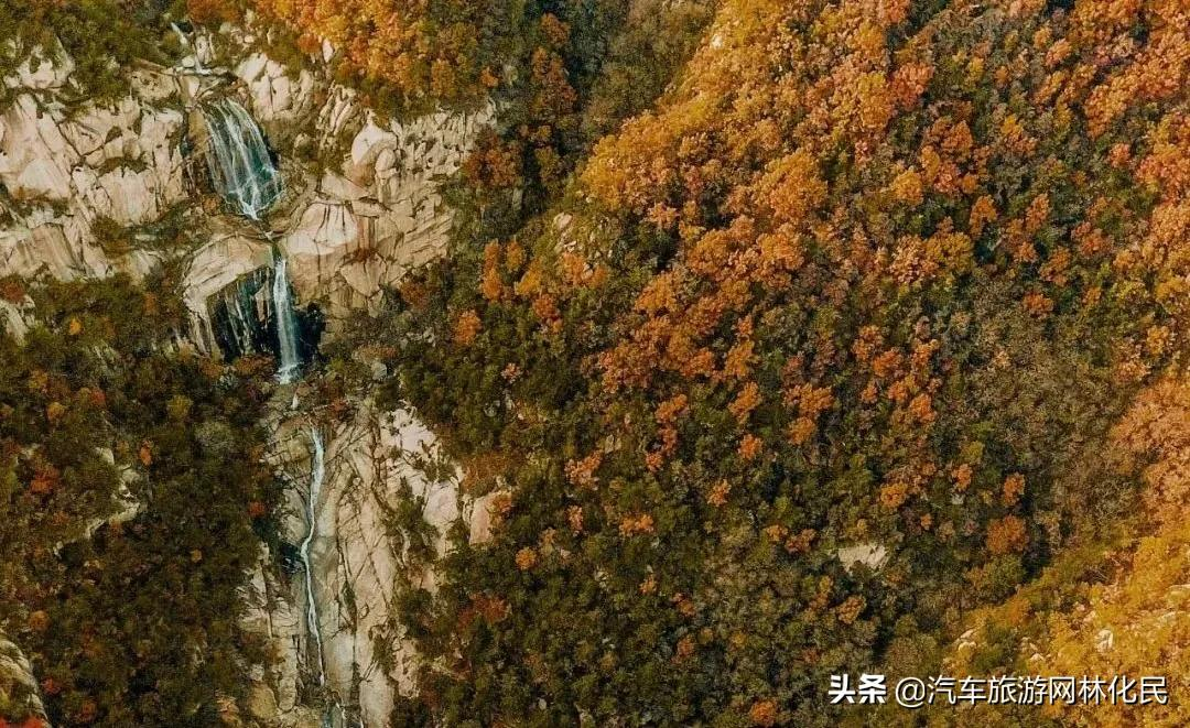 今日起至12月31日，持此券者可以免费游蒙山啦~（文内可领取）