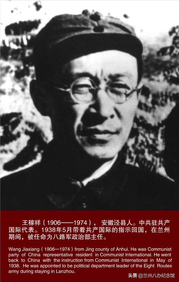 在线观展 