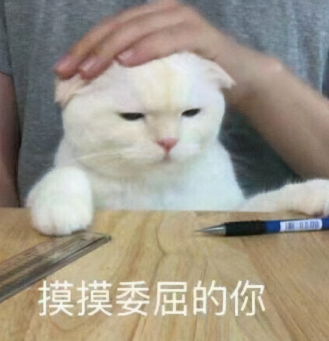 日本主妇又发威！毛衣、羽绒服清洁有妙招，洗完不变形、不起球