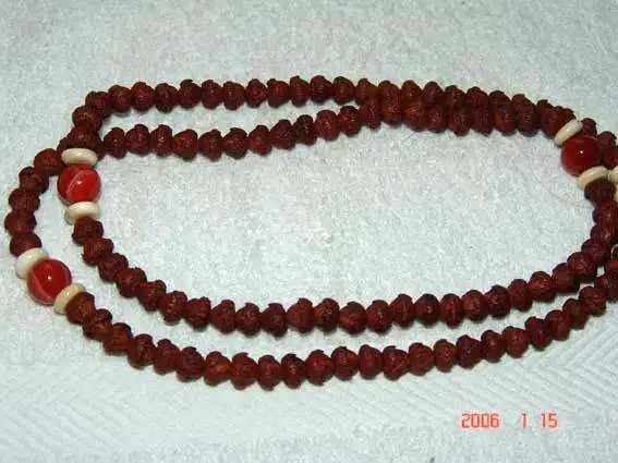 菩提子种类全详解（配图不易）