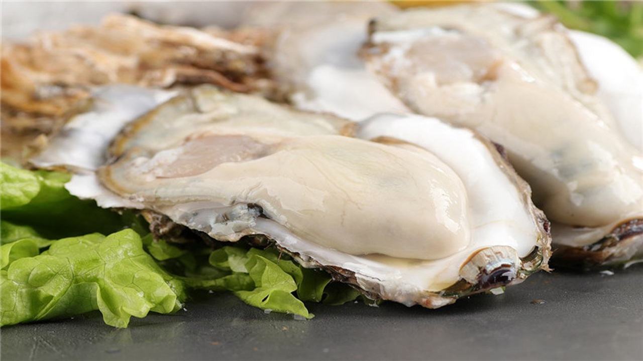 生蚝是海鲜吗「免费分享」