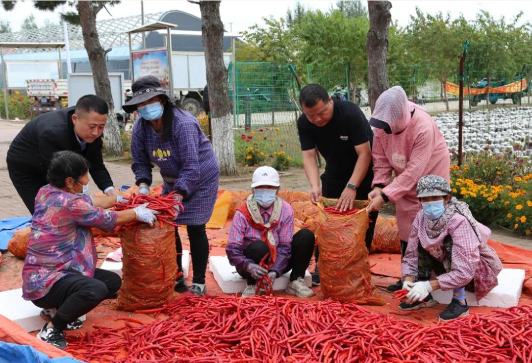 陈学亮：合作社就地致富的新打法，高能新品种让“寸土变寸金”