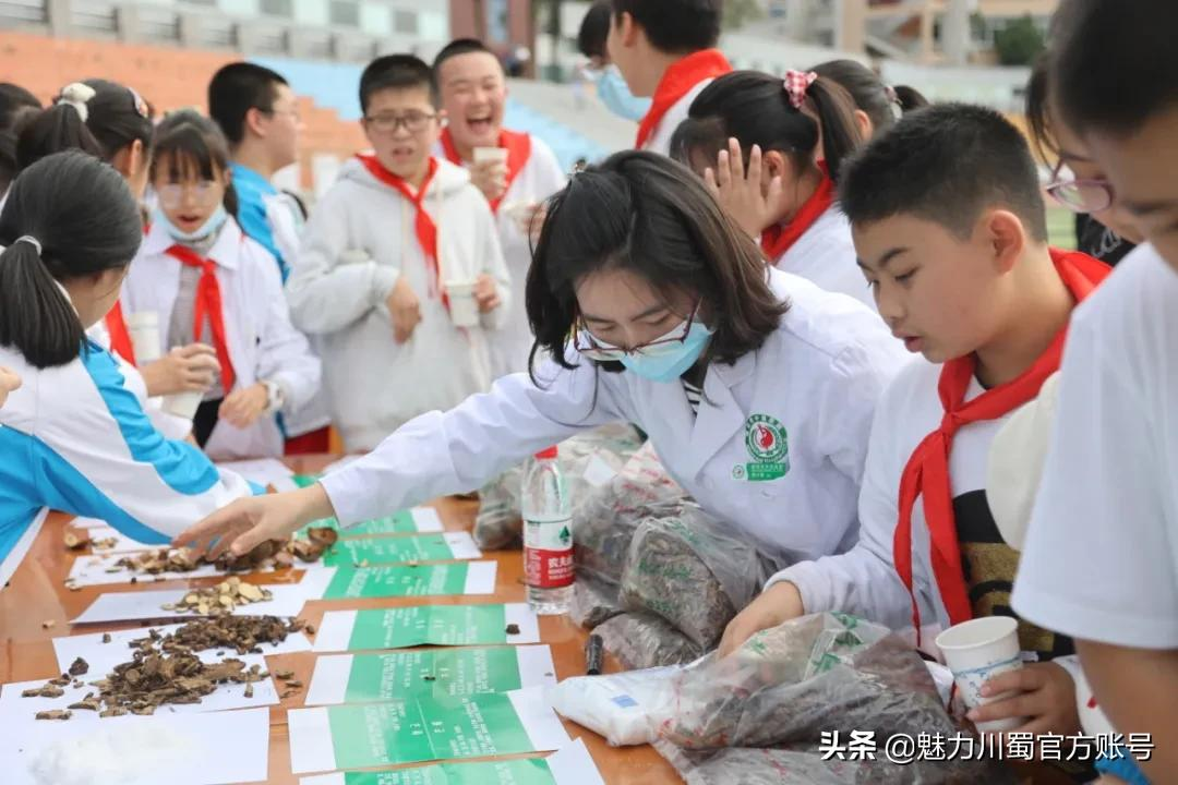 中医药文化进校：科学城一中弘扬传统文化，助力青少年健康成长
