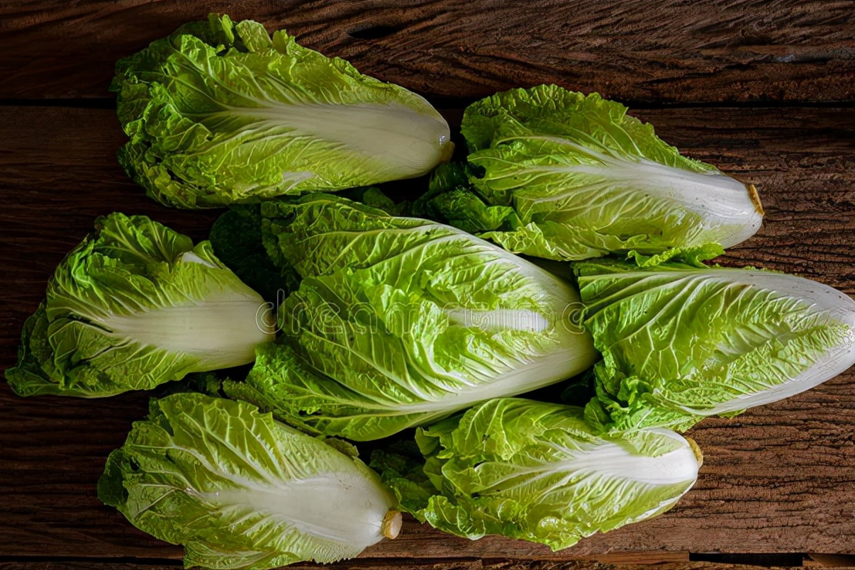 保存大白菜，切忌直接放地上，教你一个好办法，不脱水不烂叶