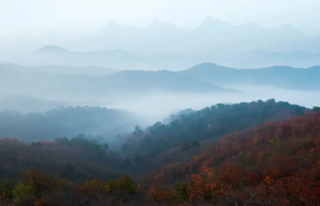 10首最美的秋分诗词，浅遇一季秋，足以醉红尘