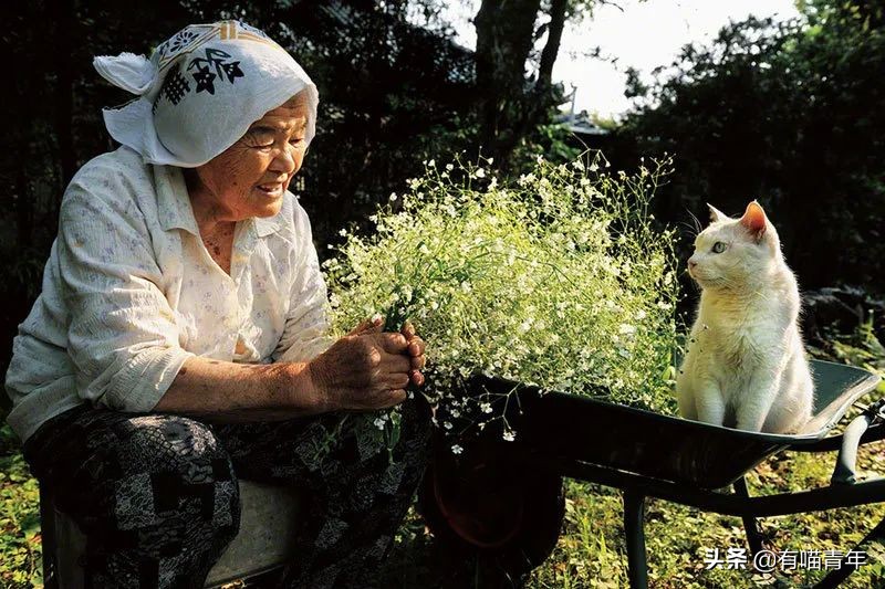 谢谢，福丸！再见，福丸
