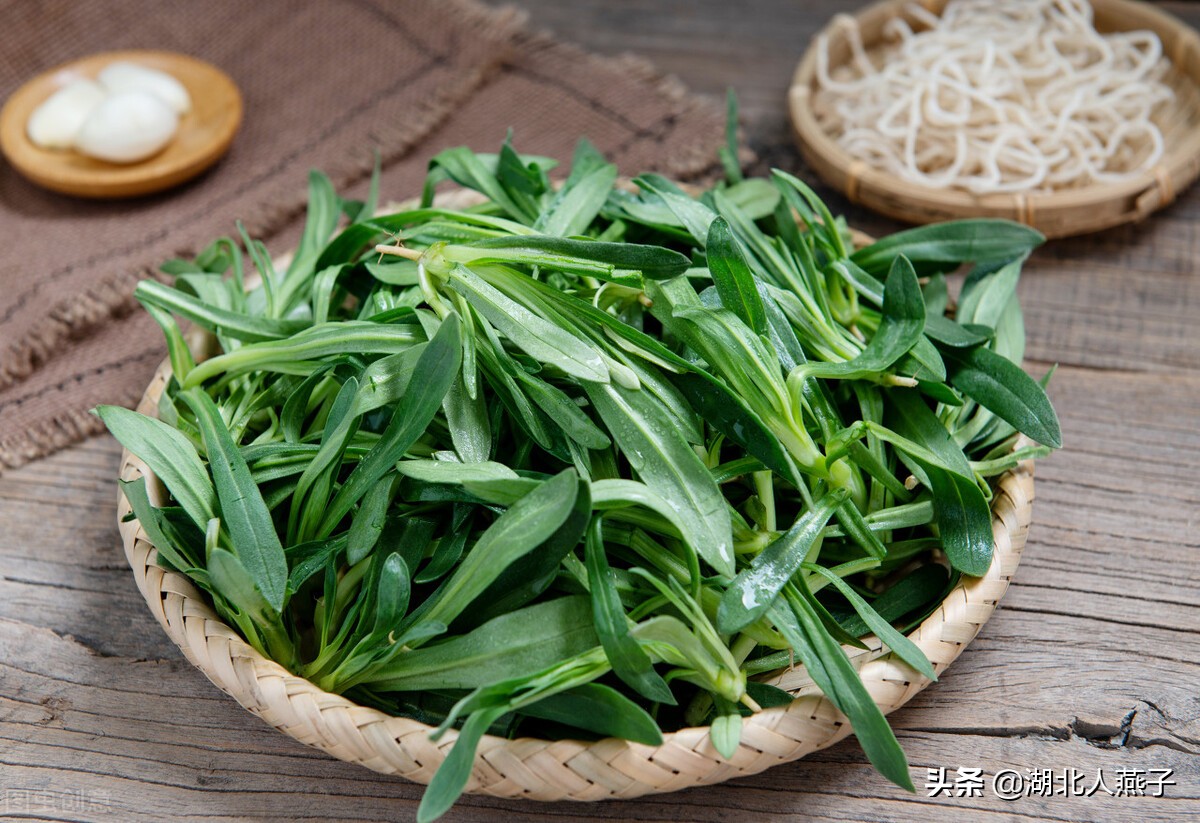 65种野菜图片大全，教你认识不同的野菜和吃法，你想要的野菜都有