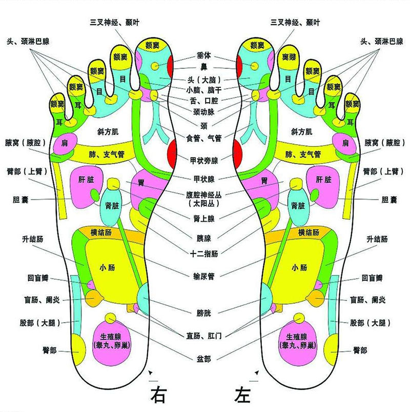 「金測評(píng)」HITH智能自動(dòng)折疊足浴器D3在家養(yǎng)生的智能之選