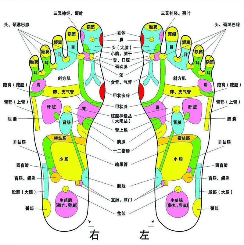 「金測評」HITH智能自動折疊足浴器D3在家養生的智能之選