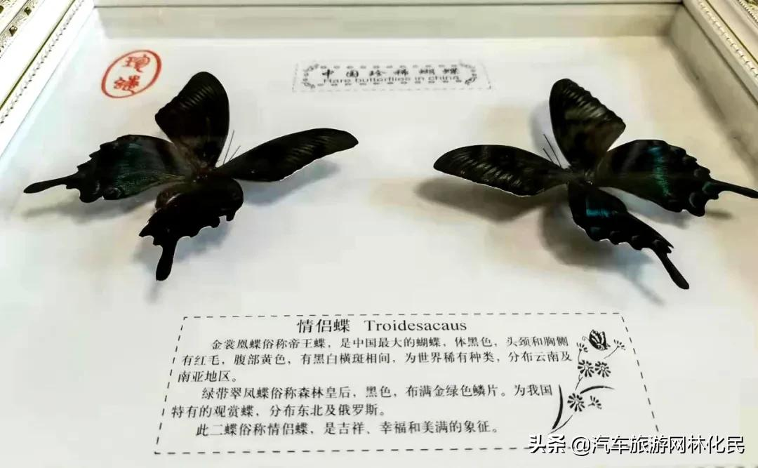 萤火虫水洞·地下大峡谷旅游区双喜临门