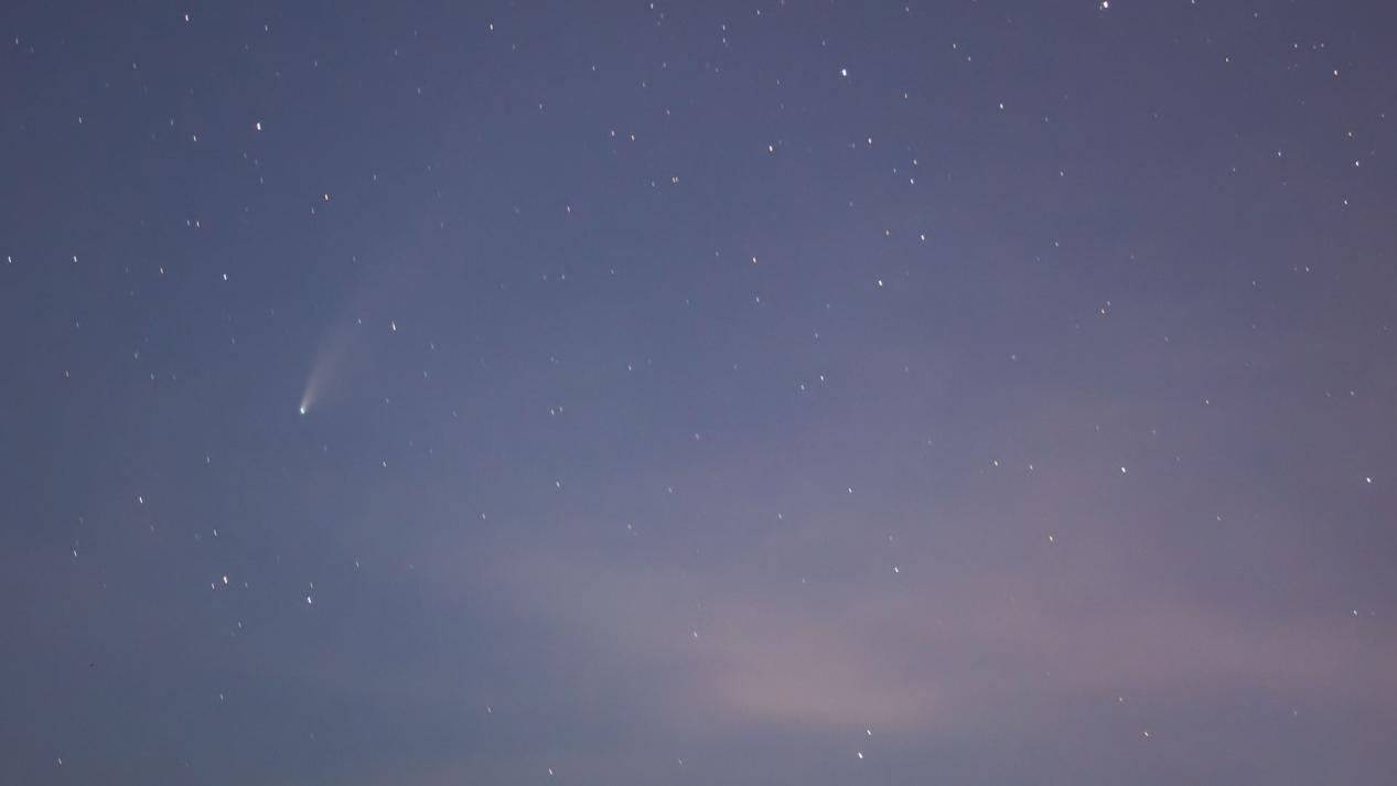 11月13日（摩羯座、狮子座、处女座）每日星座运势