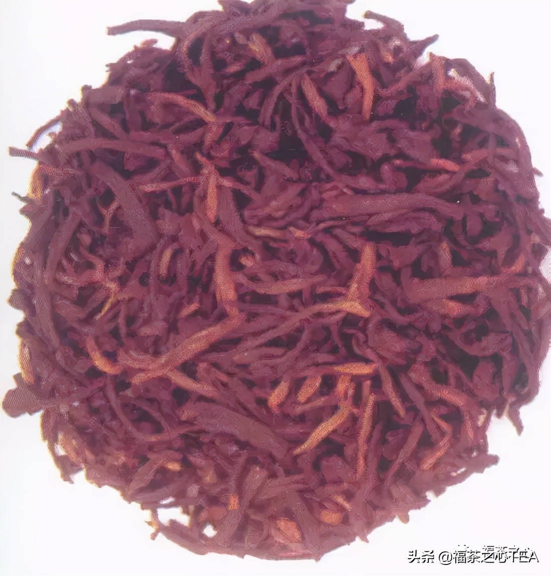 茶百科 | 中國茶葉分類大綱（收藏版）