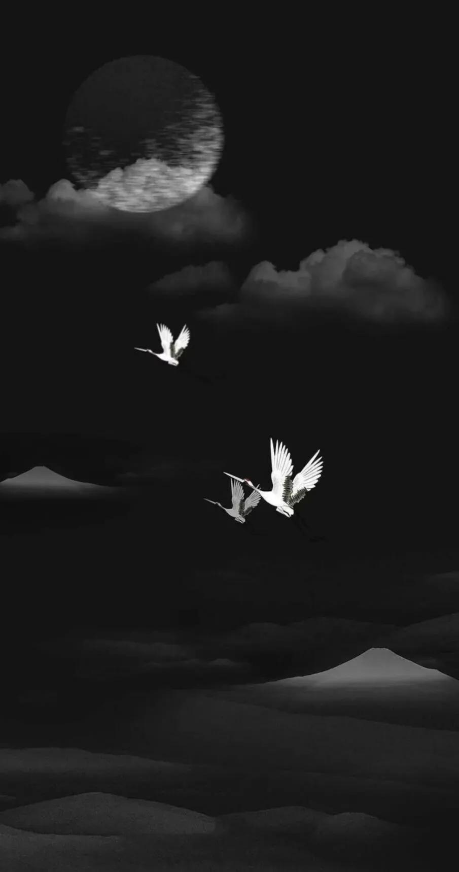 黑色系壁纸黑色主题壁纸