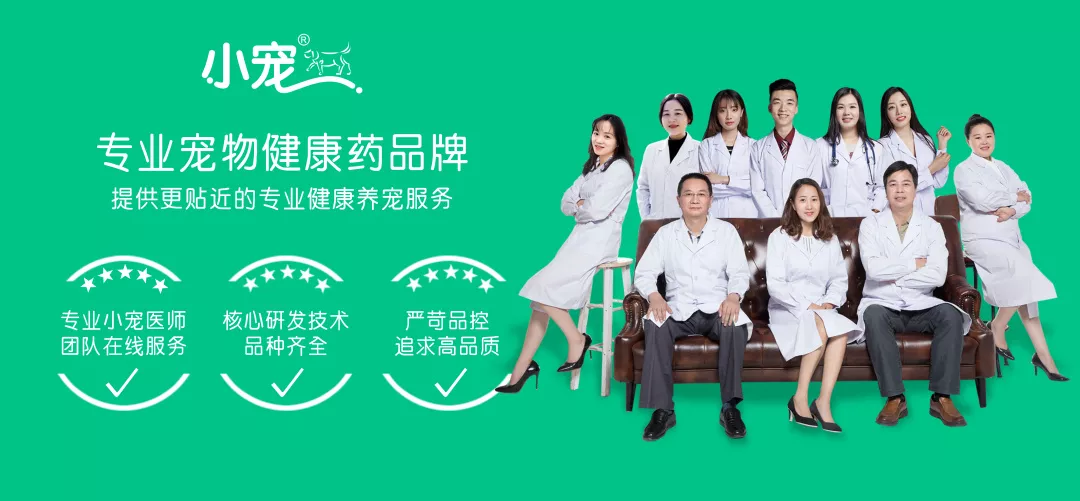 影响狗狗一生的髋关节，疼痛到狗狗无法行走！主人一定要注意起来