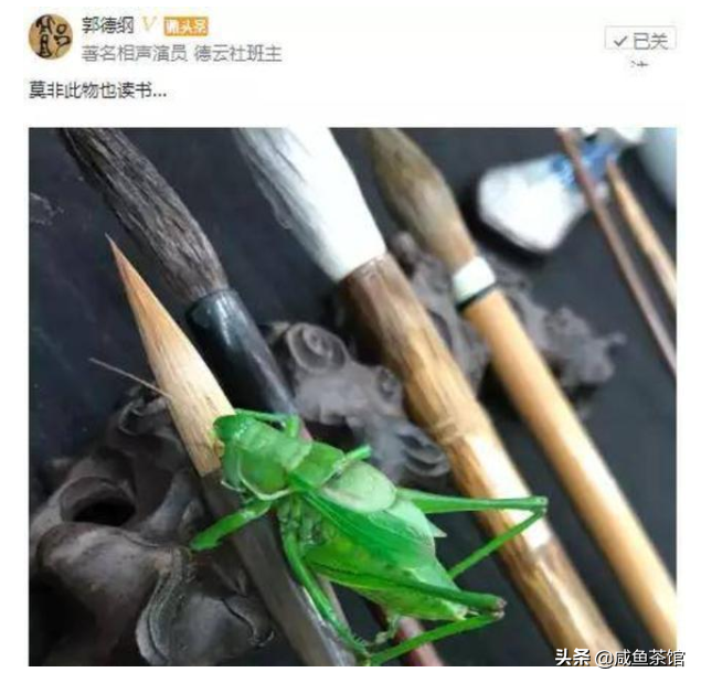 郭德纲苗阜微博骂战，这回合到底谁输谁赢