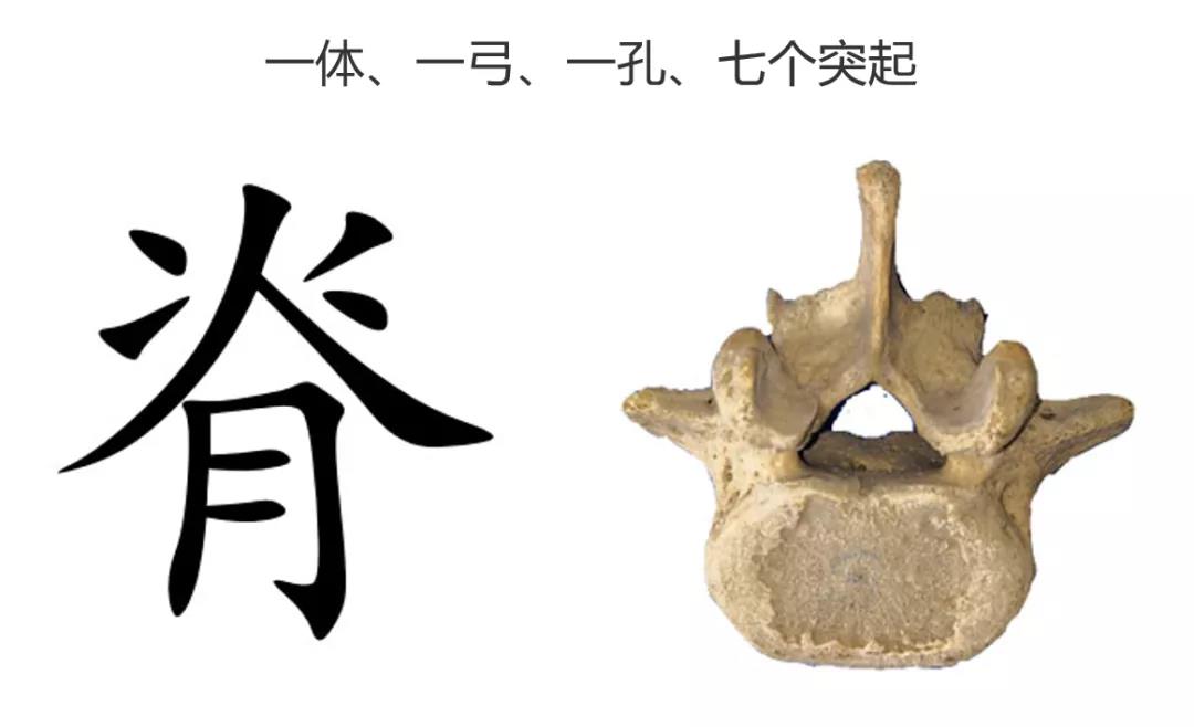 90后教师分享：腘字读音教学，让学员轻松掌握这个易错汉字的正确发音