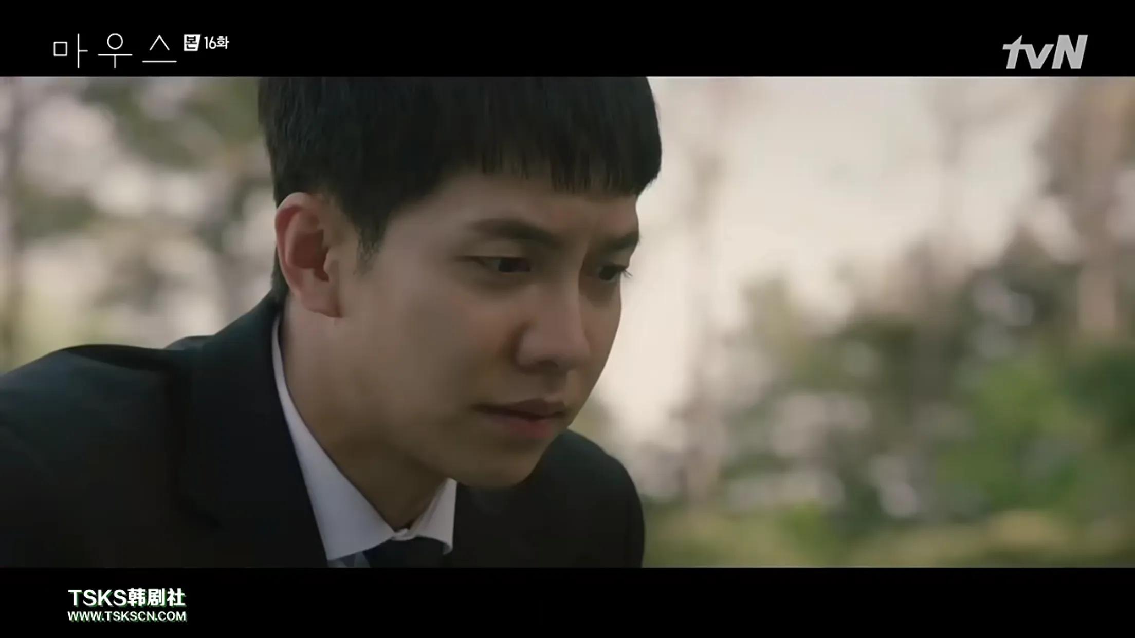 窥探更新到多少集窥探共多少集