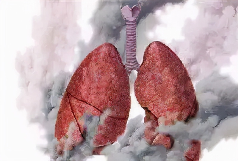 姜枣茶配合中药汤剂治疗慢阻肺，解表散寒、补中益气、养血安神