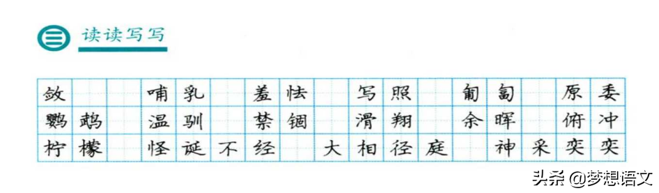 每天10分钟：部编版七年级上册生字词含拼音及练字手写范字集