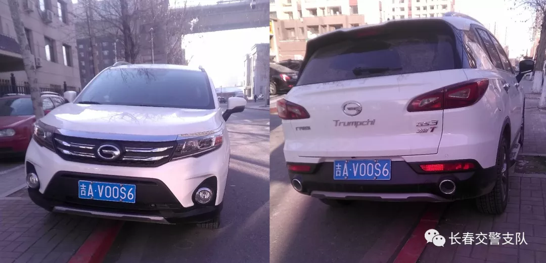 安全带防伤害 不违停路更宽丨曝光台