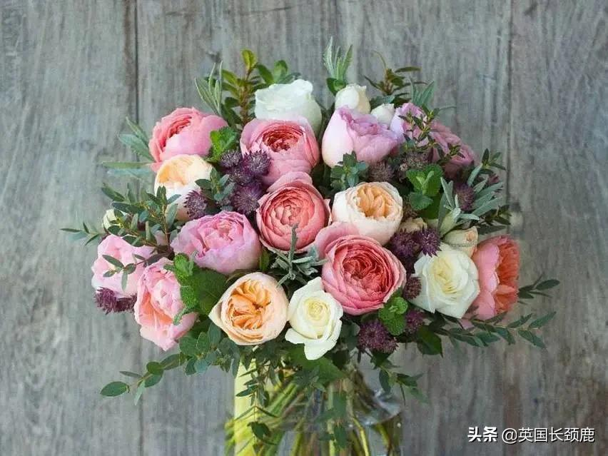 宝宝新年礼物（新年给宝宝买什么礼物）