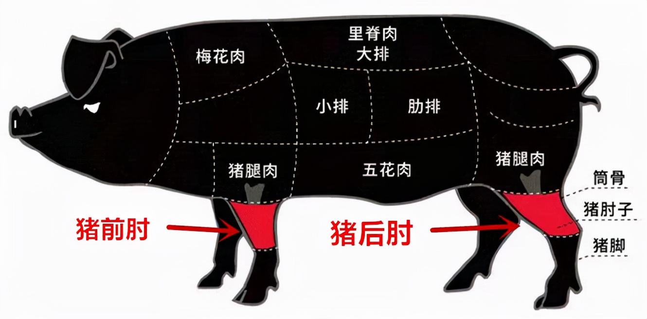 猪前蹄和后蹄的区别图图片