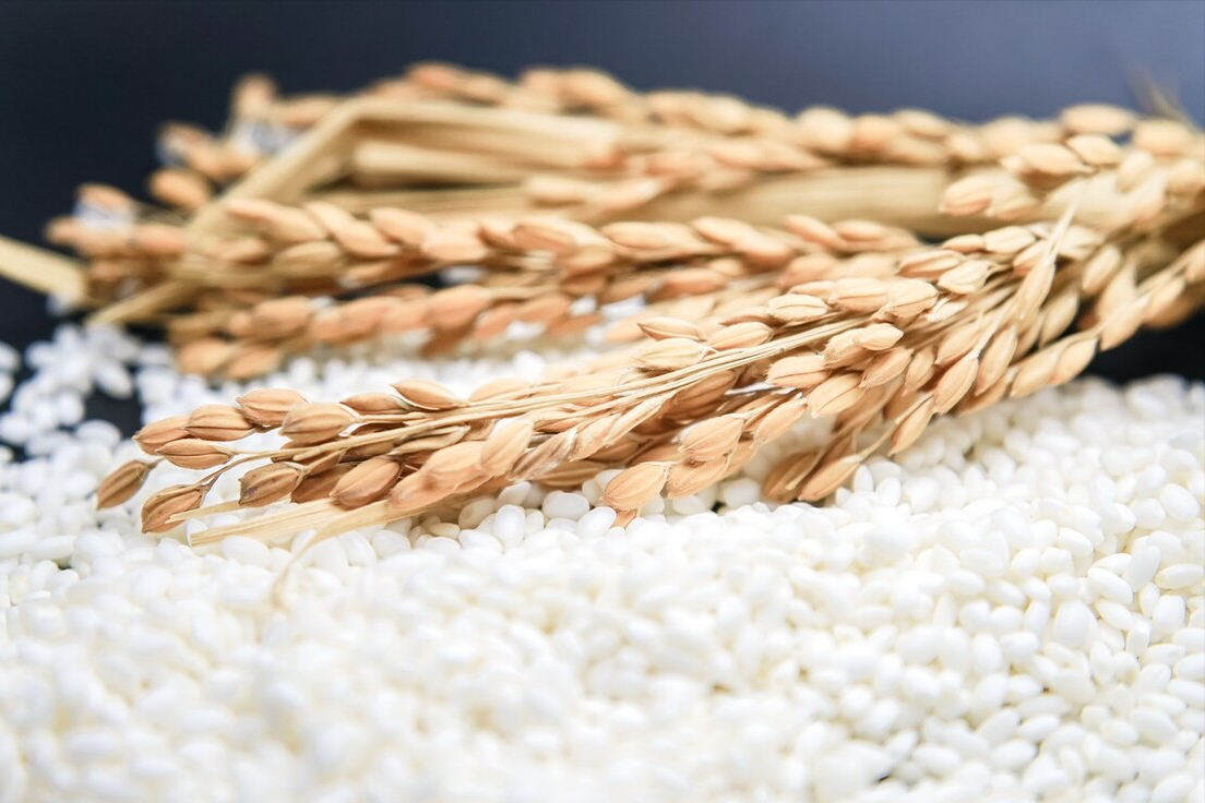 同样是糯米，“长糯米”和“圆糯米”有啥区别？弄懂再买不吃亏