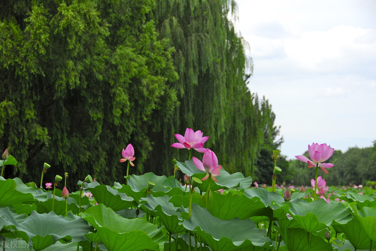 2021我从打工族到全职写作，从单篇0.47到7000元，收获远不止这些