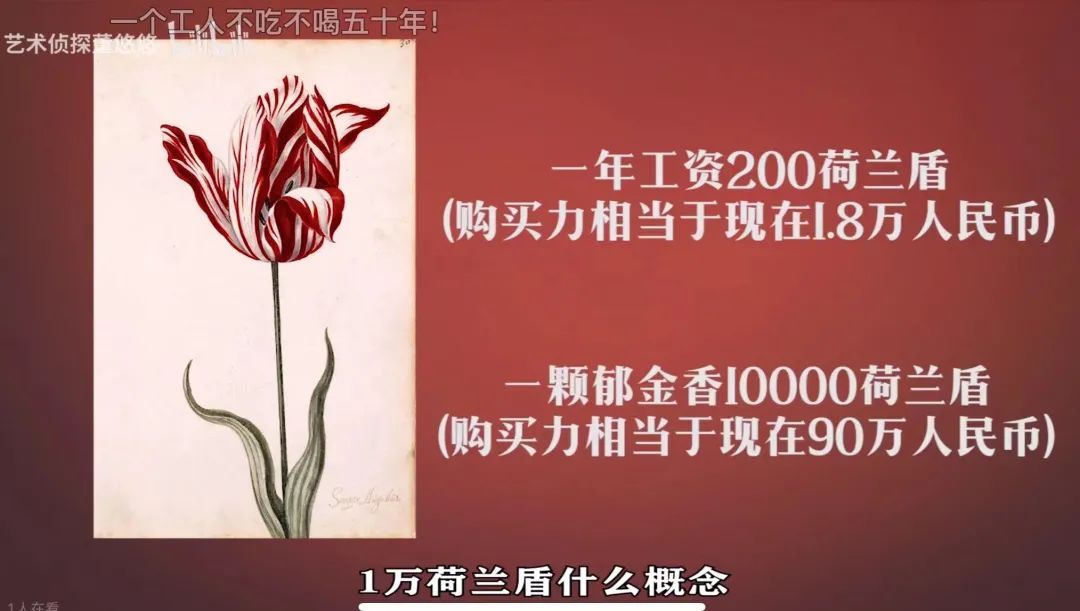 潮流圈开始“炒”植物了？花盆竟高达三四万