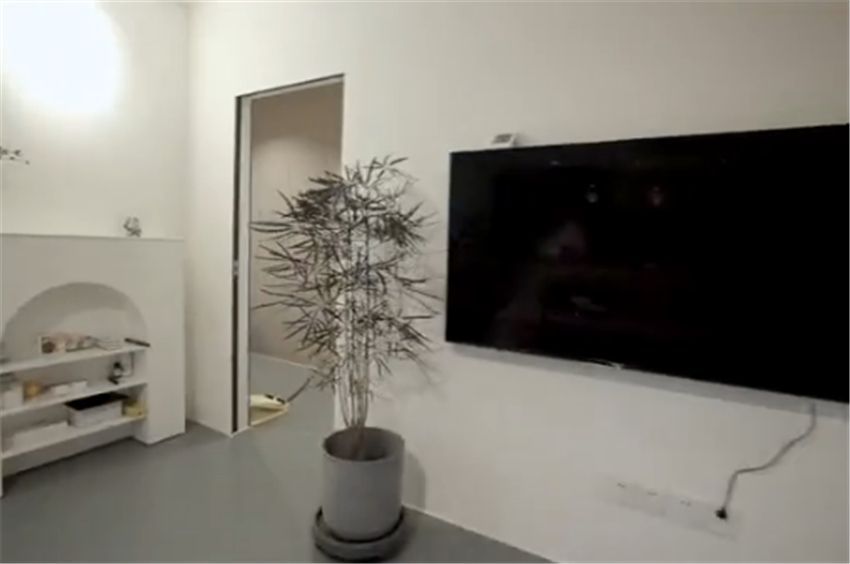 姑娘曬出極簡小家：58㎡一室一廳，一人一貓居住倍感舒適