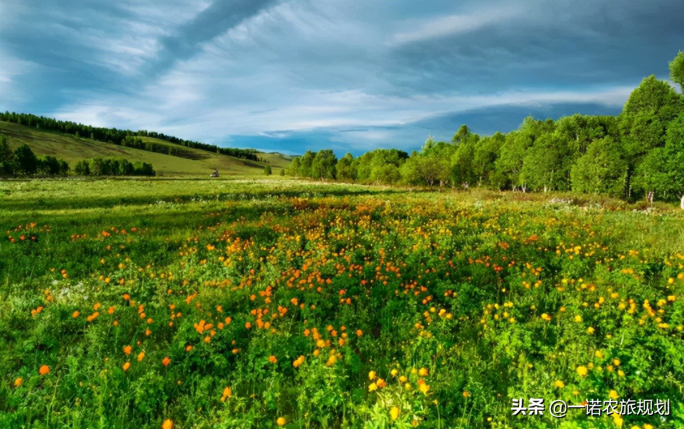 田园综合体：如何挖掘本地资源？