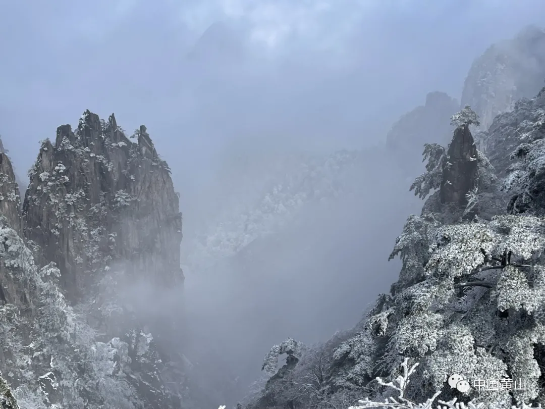 黄山雪后初霁,日出云海齐现美如仙境