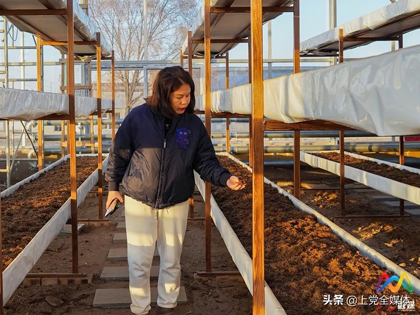 委员风采丨铿锵玫瑰的“中医药大健康产业梦”