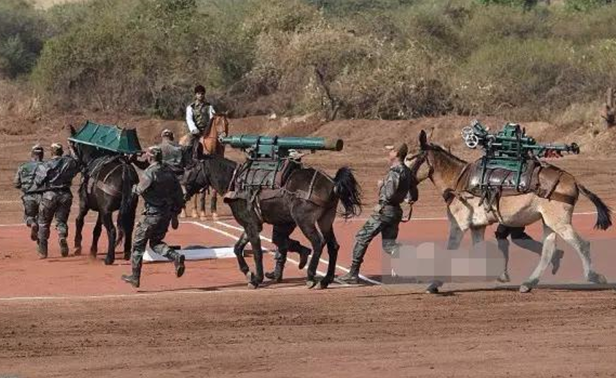 �������й���ʽ����ս���ع⣡�򽫳�Ϊδ��ս��֧Ԯ����