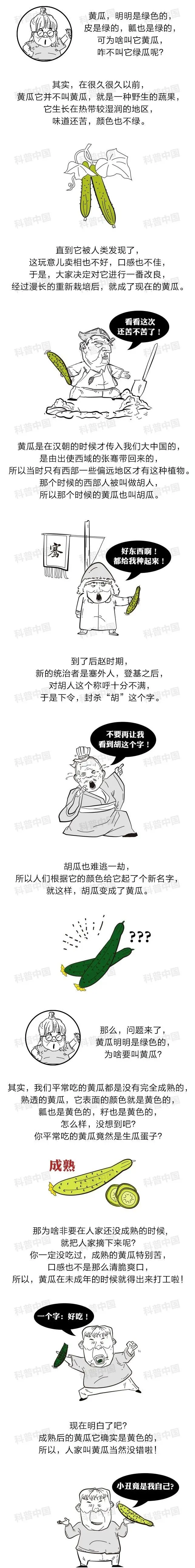 黄瓜明明是绿色的,为啥要叫黄瓜?看完又涨知识了