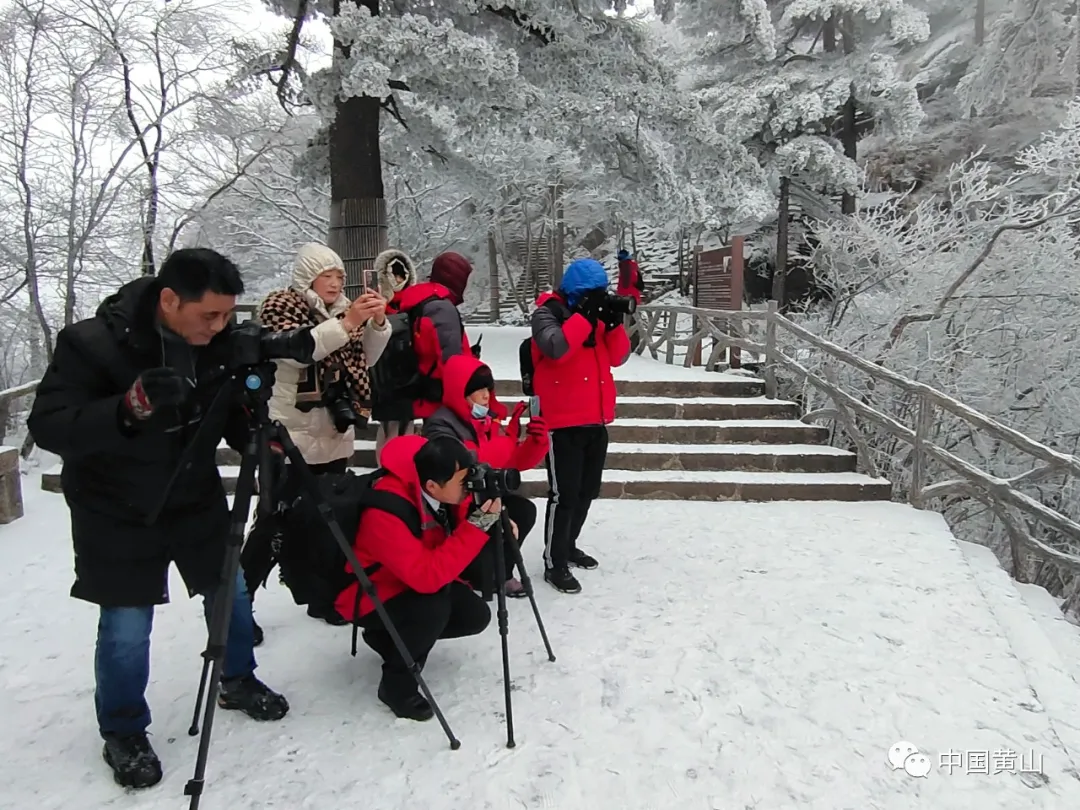 黄山雪后初霁,日出云海齐现美如仙境