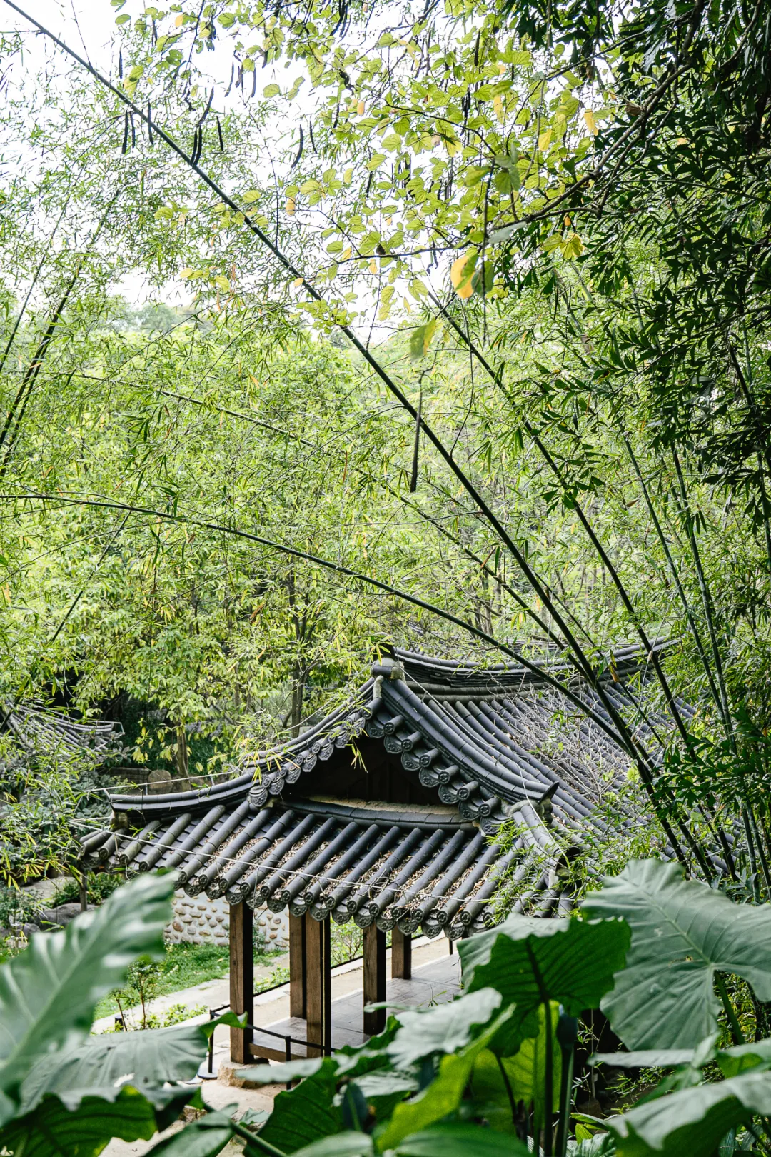 广州这10个好地方,本地人都未必会知道!还不来看看?