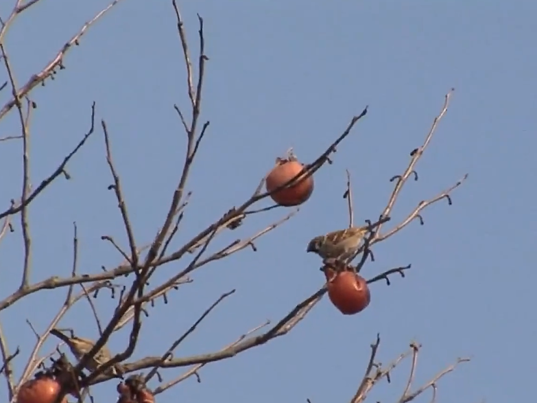 大妈为了能够吃肉，每天都要喝洗洁精解腻，已连续喝了几十年