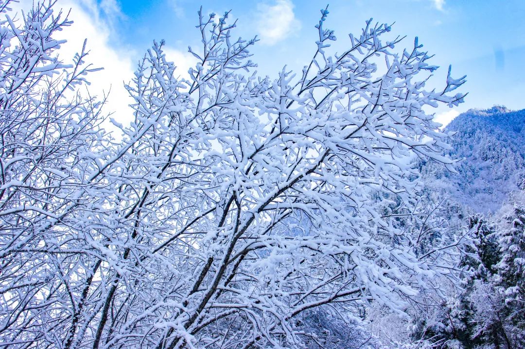 热雪沸腾｜毕棚沟「冰雪娱乐场」今日正式开启