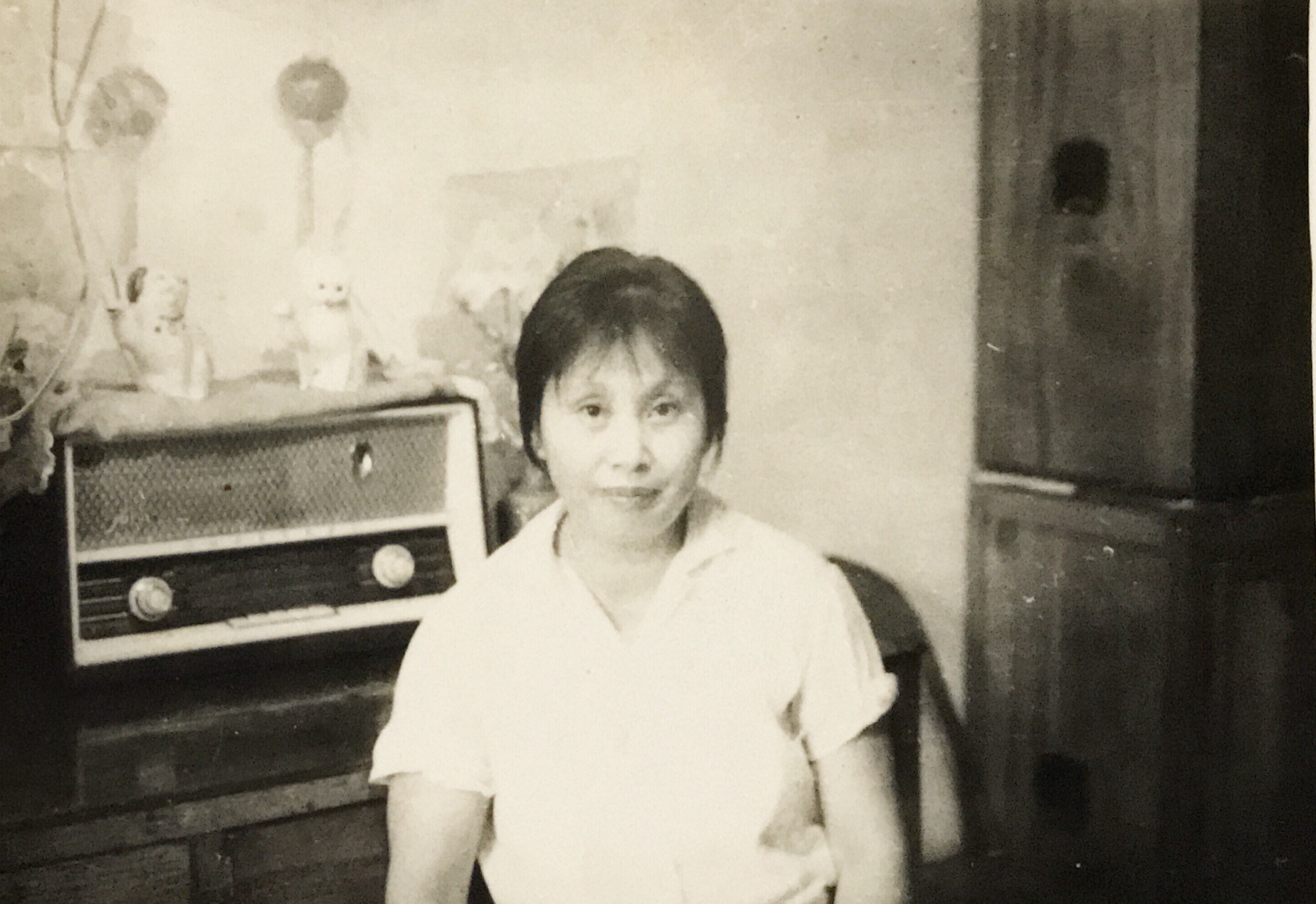 45年前那场洪水（一） 铁13师二代郑吉辉