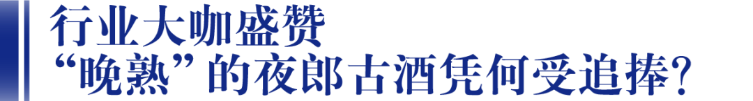 夜郎古超级品牌节暨2022年品牌战略发布会在仁怀启幕