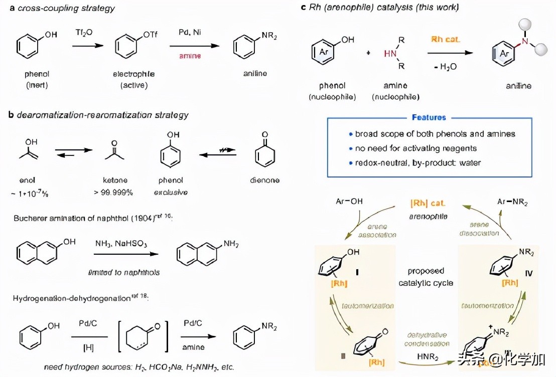 西湖大学石航课题组JACS：苯酚的催化胺化