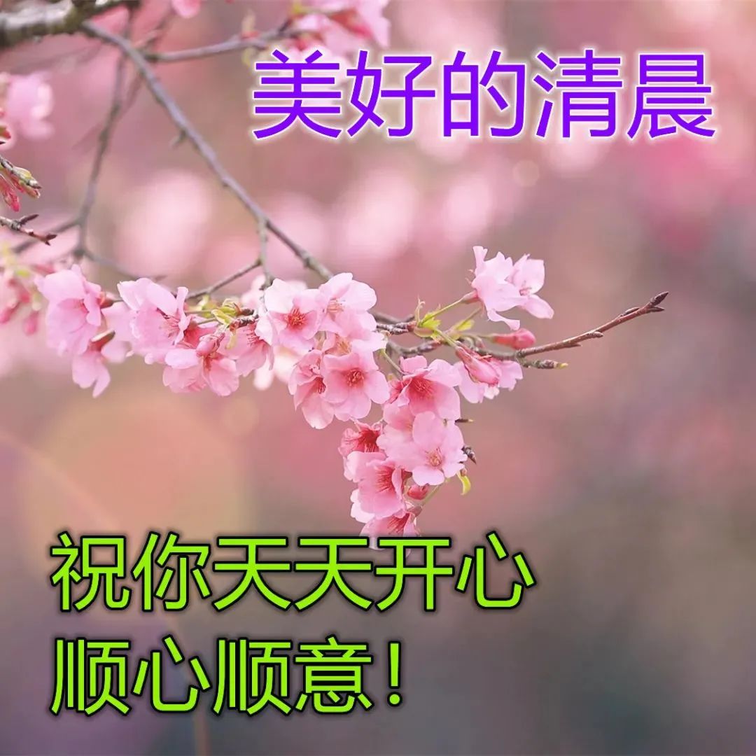 周末最漂亮早安问候祝福图片唯美温馨带字,清晨早安问候祝福语最新