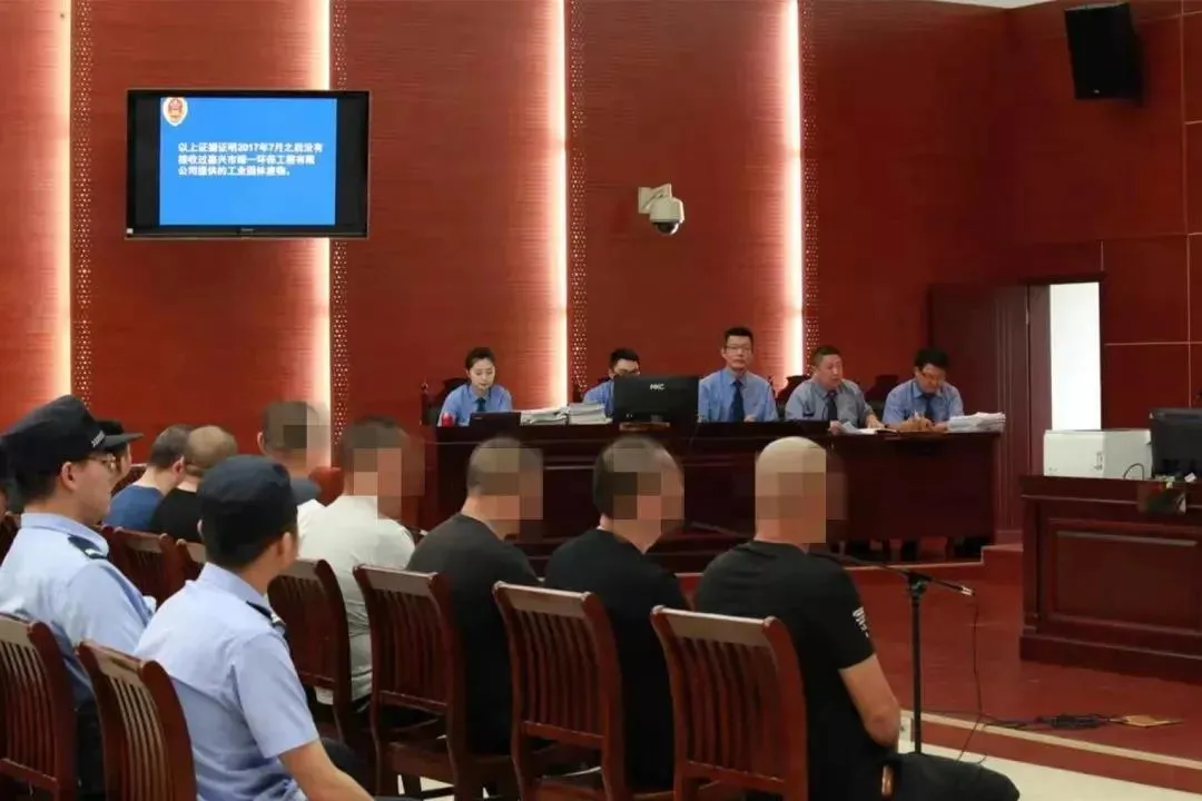 【两会看“检”】“绿色”成绩单 | 服务大局专题