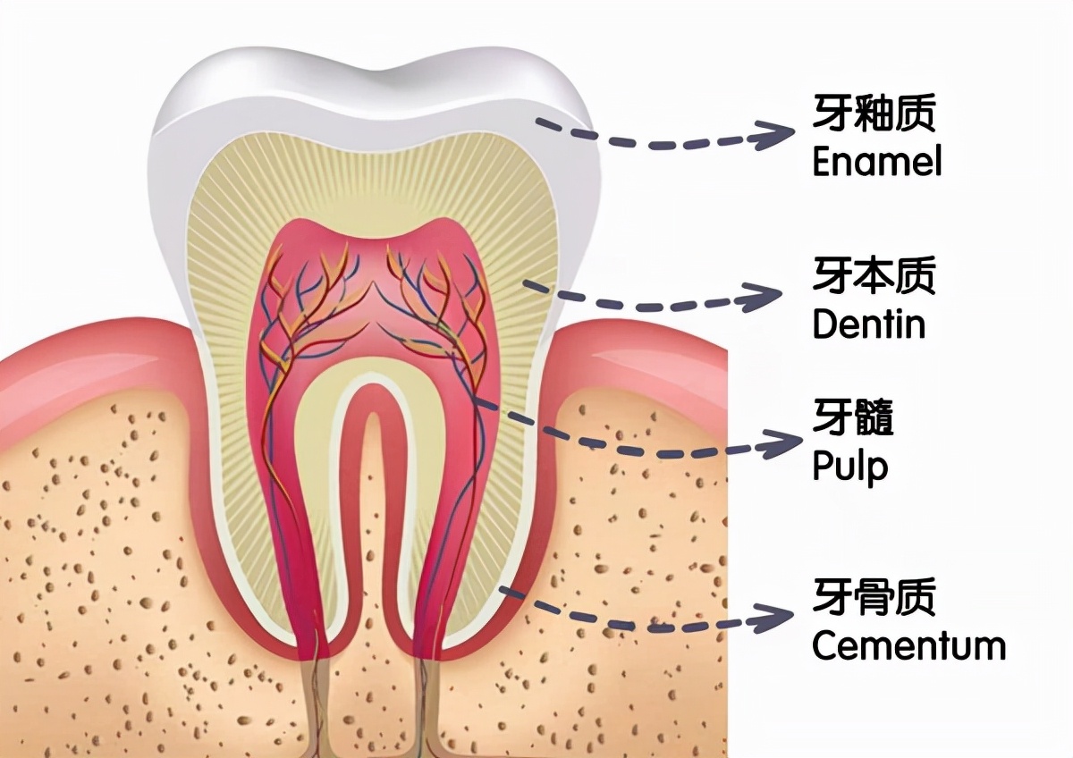 生姜、花椒治牙痛，小心适得其反！医生推荐了3种方法，不妨试试