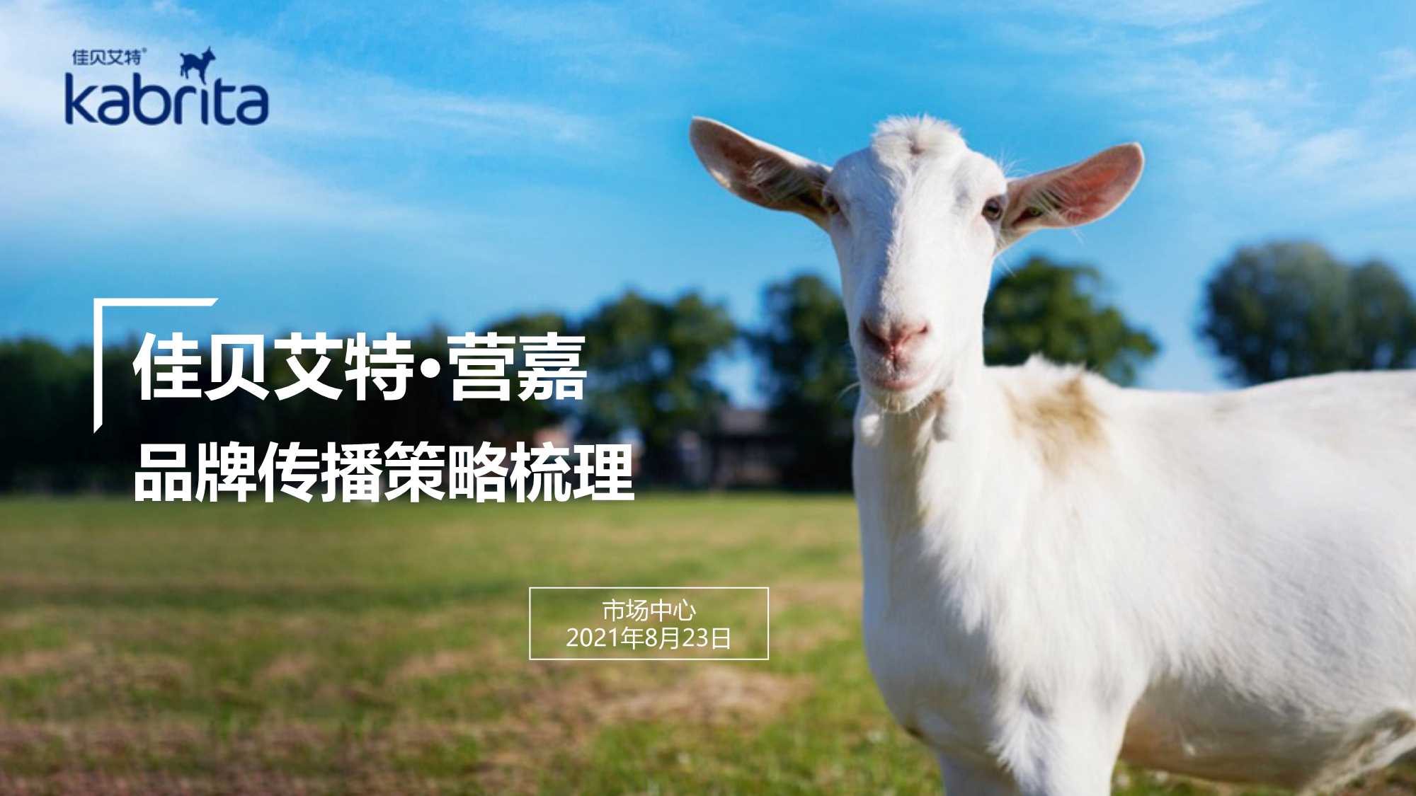 11份产品策划品牌营销方案系列（太侠精选）