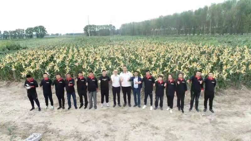 打造现代农业 助力乡村振兴——吉林省百亿农业集团有限公司