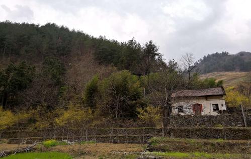 秦岭神奇事件：所有的活物都消失不见了